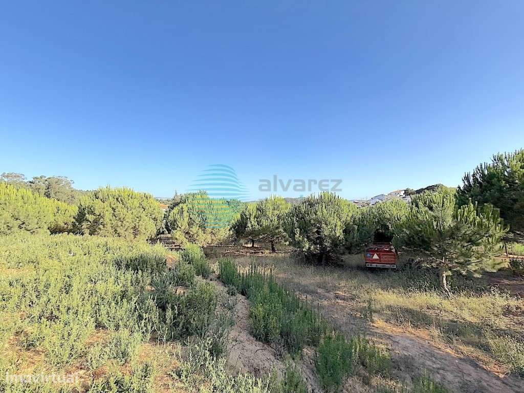 Excelente Moradia/Quintinha PISO TÉRREO V4, Ramalhal-40