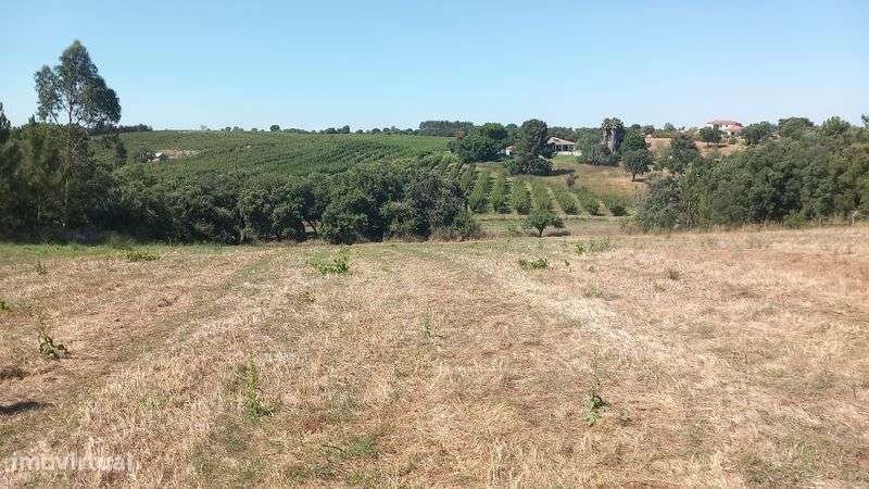 Terreno 10.000 m2 Santarém - Grande imagem: 2/6
