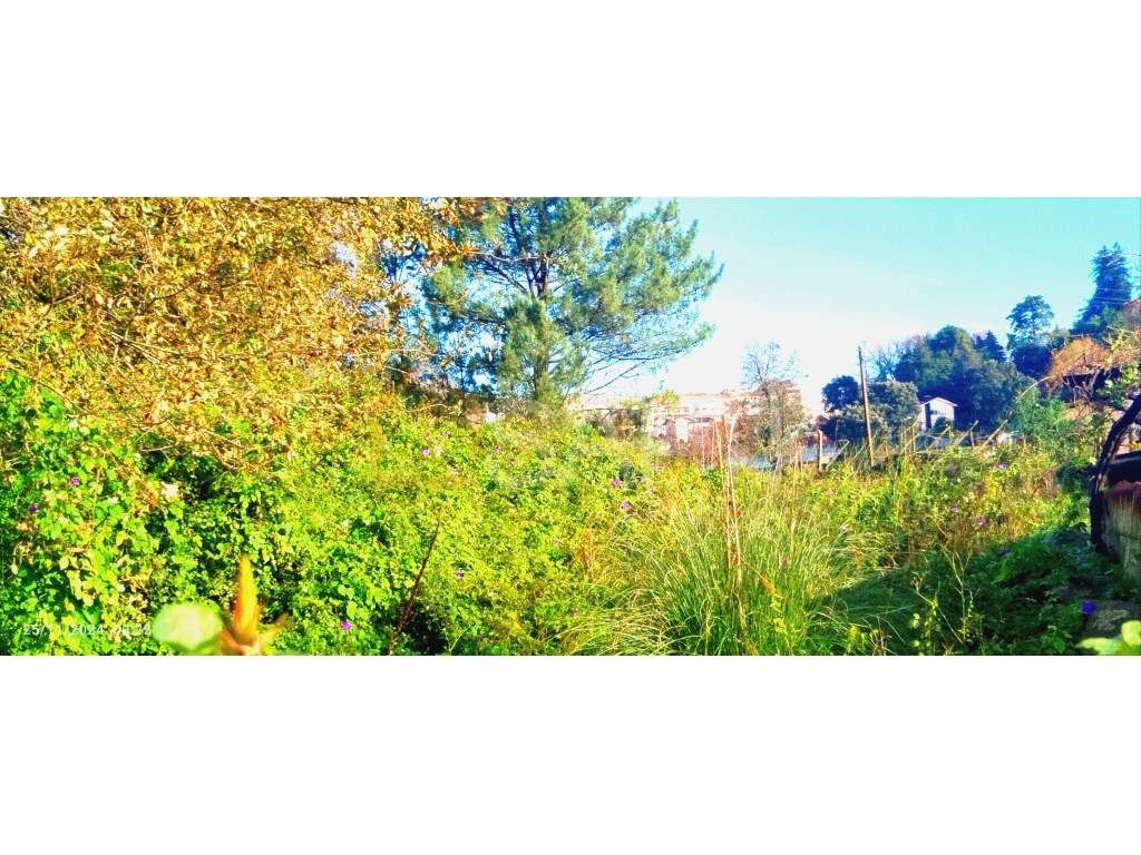 Terreno Amplo, Excelente Oportunidade! - Grande imagem: 4/15