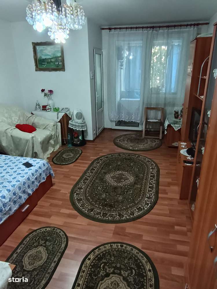 garsoniera vatra luminoasa-8