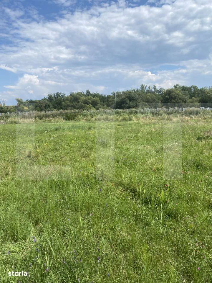 Teren intravilan 1.000 mp cu PUZ aprobat – langa Sepsi Arena - Imagine principală: 2/2