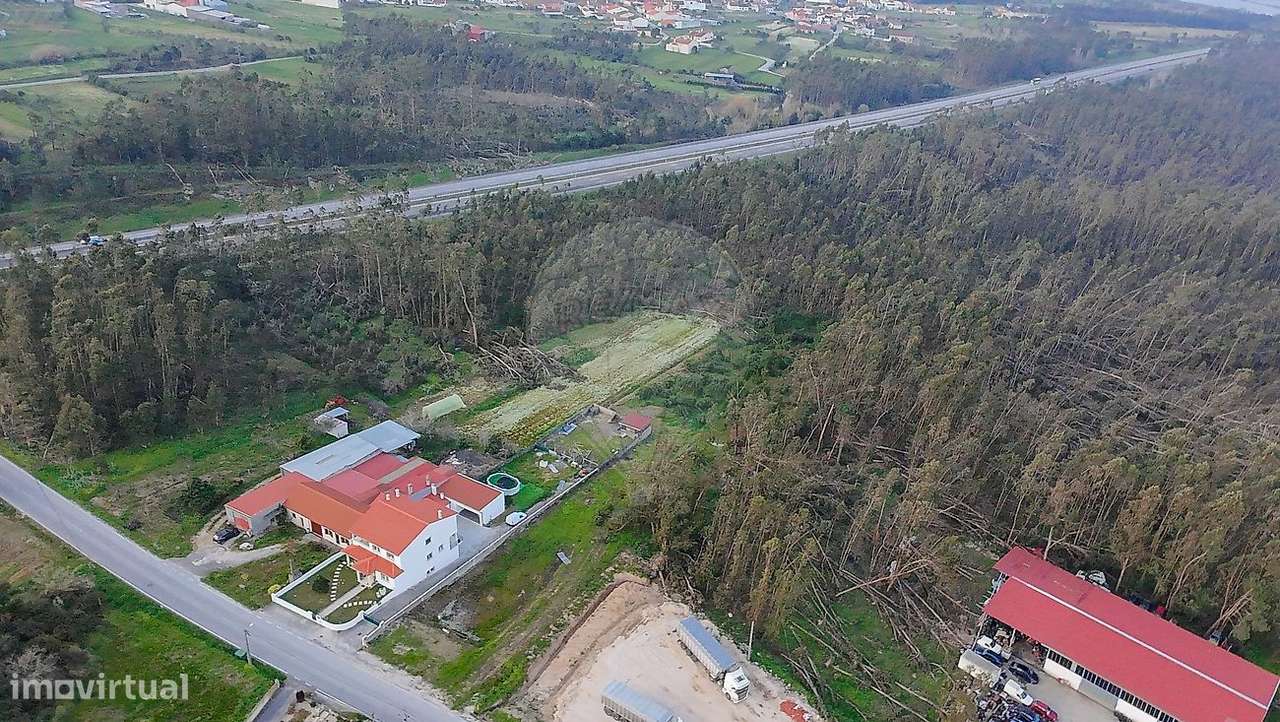 Terreno  para venda - Grande imagem: 4/10