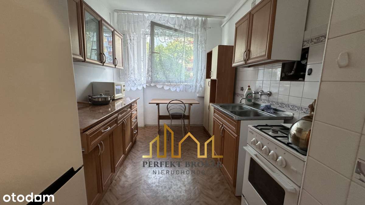 Miasteczko Akademickie! Wieniawa! - Pełny obrazek: 5/11