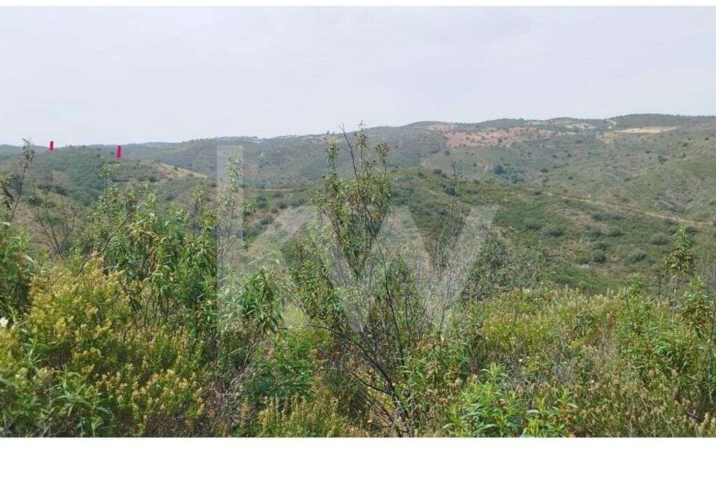 Terreno para venda em Laranjeiras, Alcoutim - Faro - Grande imagem: 5/10