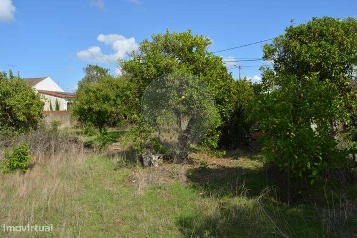 Terreno  para venda-8