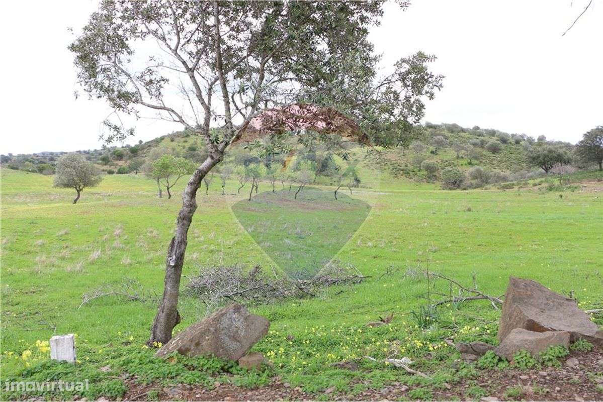 Terreno  para venda - Grande imagem: 5/9