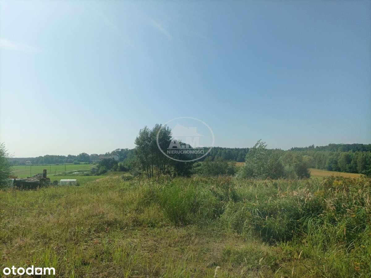 Atrakcyjna działka pod dom jednorodzinny - Pełny obrazek: 4/8