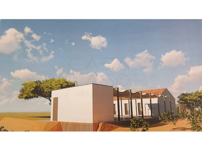 Herdade de 28.000m2 com vinha moscatel e habitações-27