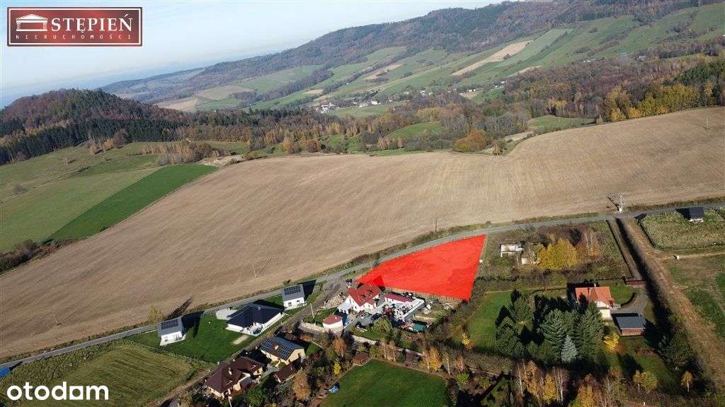 Słoneczne Wzgórze - Pełny obrazek: 5/16