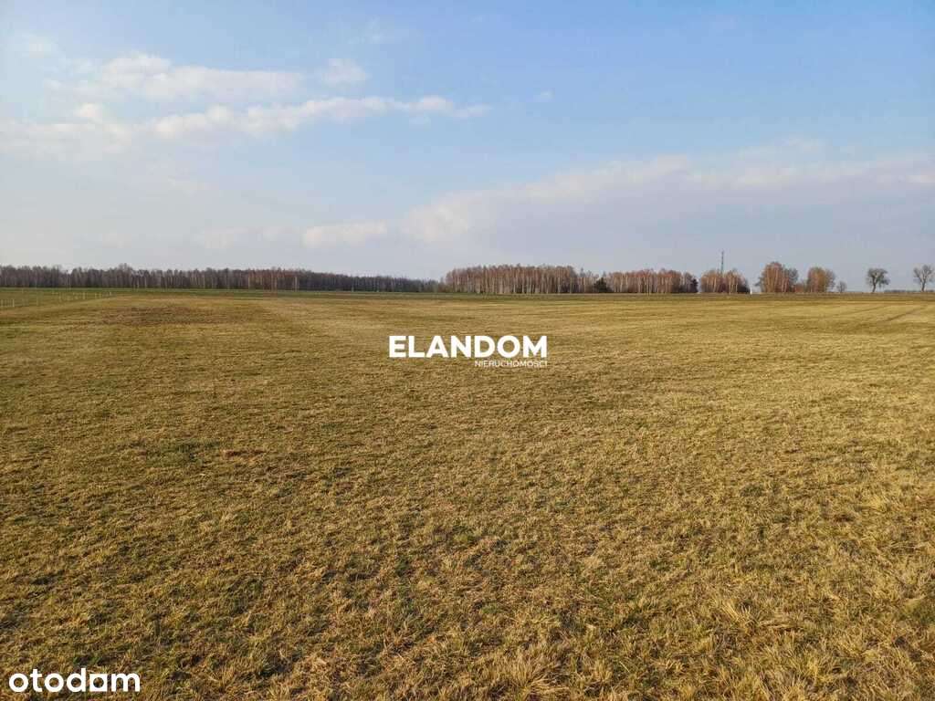 Działka Budowlano - rolna - Pełny obrazek: 4/8