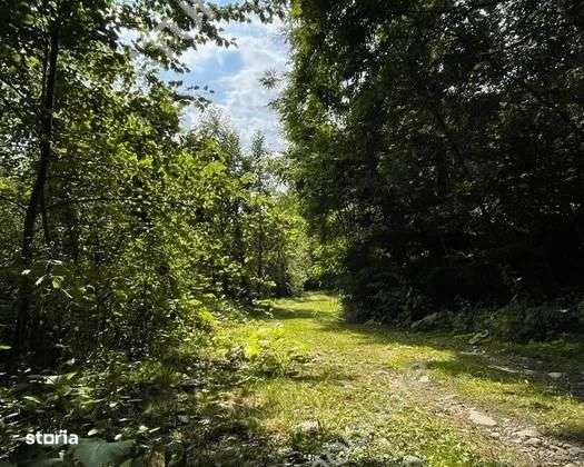 Teren intravilan in Avrig zona turistica Valea Avrigului 2000 mp - Imagine principală: 3/3