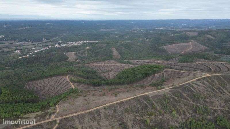 Oportunidade! Terreno Legalizado com Potencial de Construção – Arganil - Grande imagem: 5/6