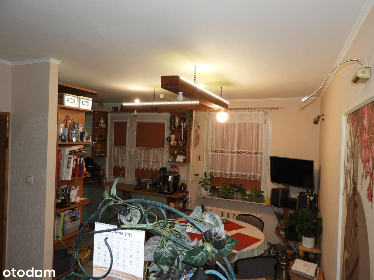 Mieszkanie 3 pokoje, 1 piętro, po remoncie,umeblowane, ul.Perseusza 72-7