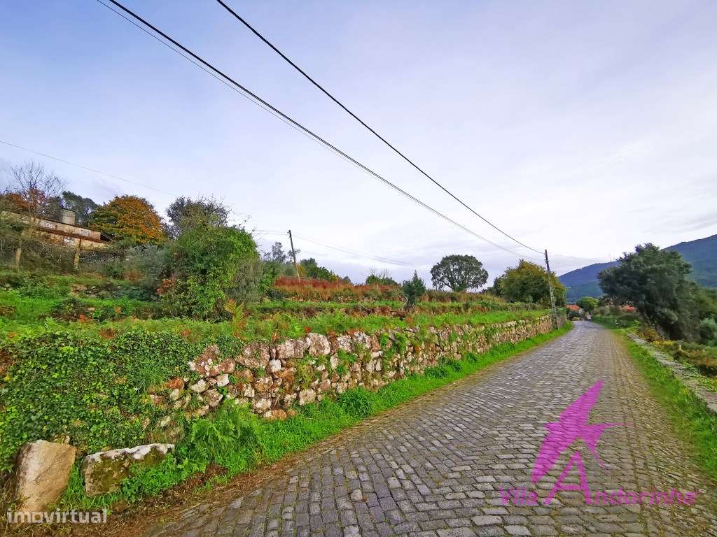 Terreno para construção de uma ou duas moradias térreas.-13