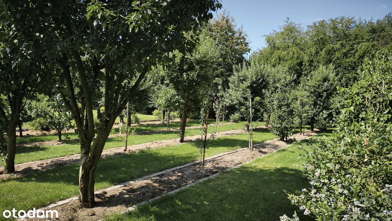 Wyjątkowe siedlisko Dom/185 m² Działka 8500 m Otulina Spalskiego Parku-7