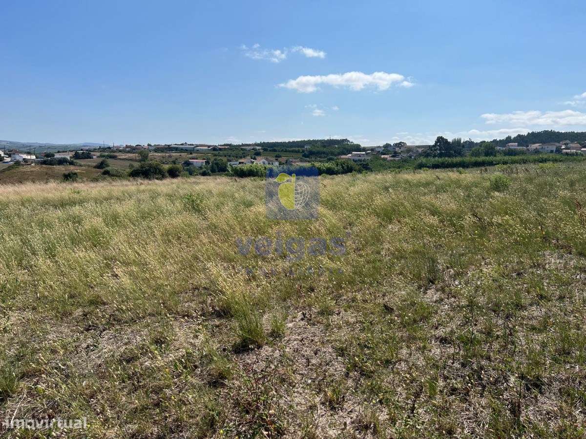 Terreno Ventosa - Grande imagem: 4/32