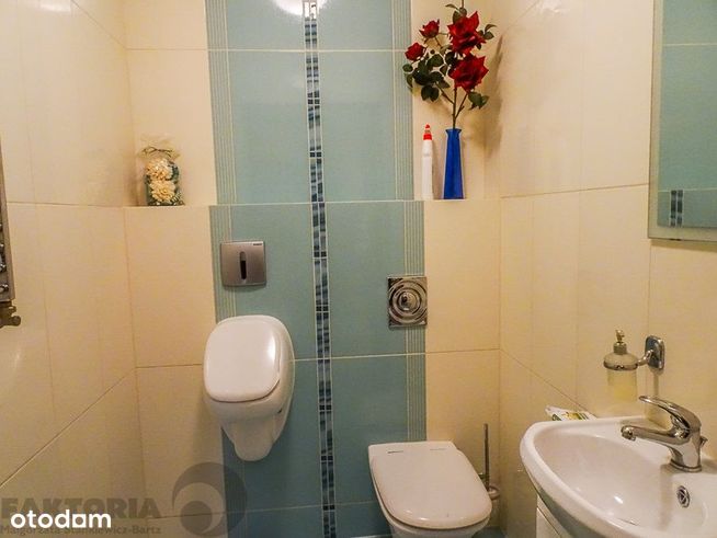 Nowy dom+2 budynki działka 1,6 ha, fotowoltaika-10