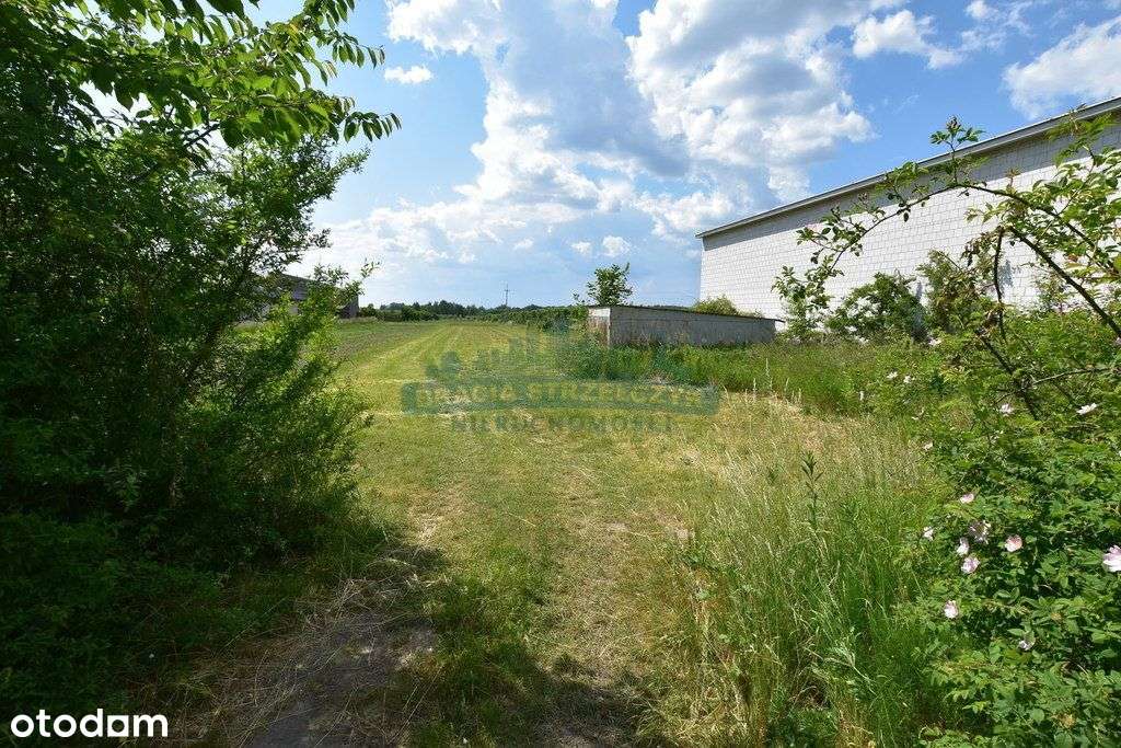 Działka w pobliżu Góry Kalwarii - Pełny obrazek: 5/6