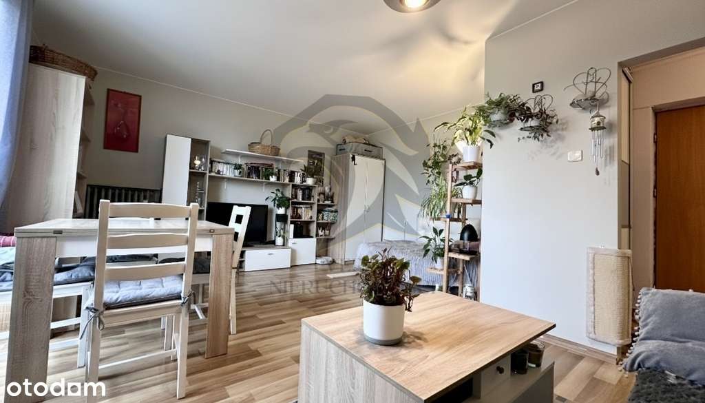 Twoja prywatna strefa Zen-12