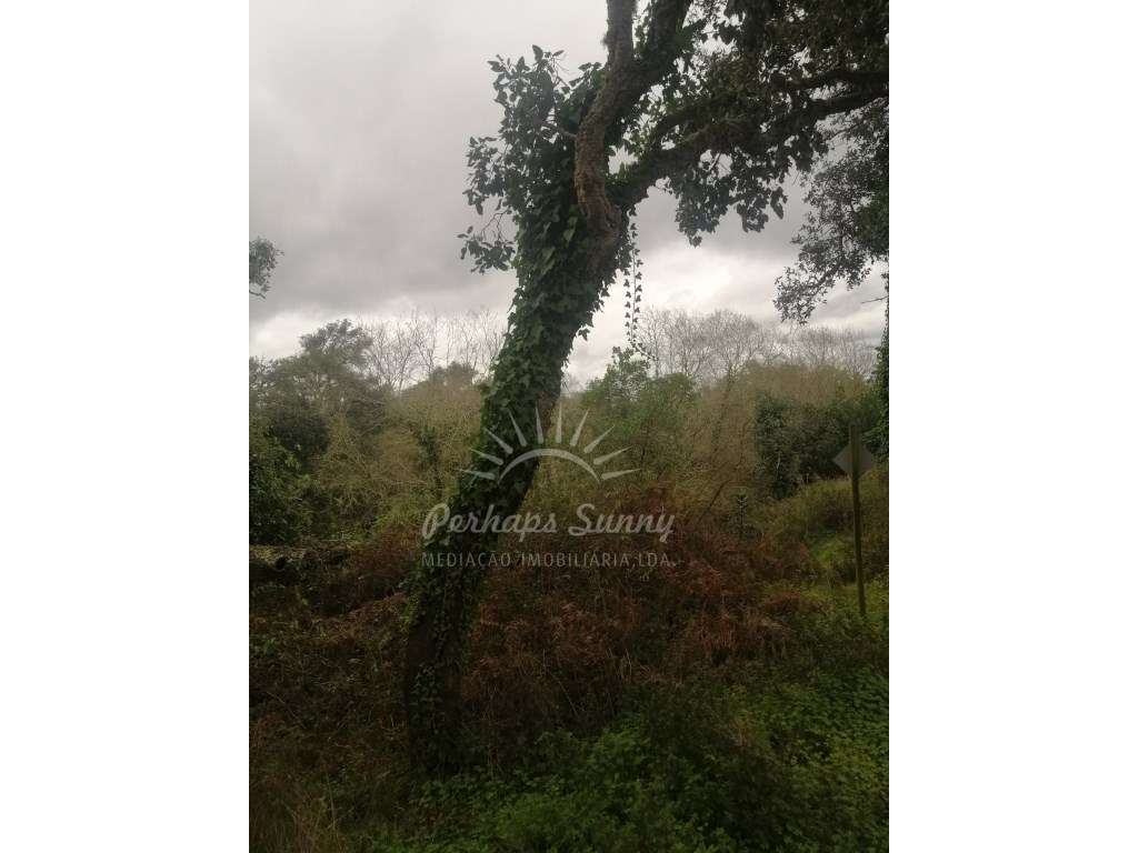 Quinta em Relíquias - Odemira-13