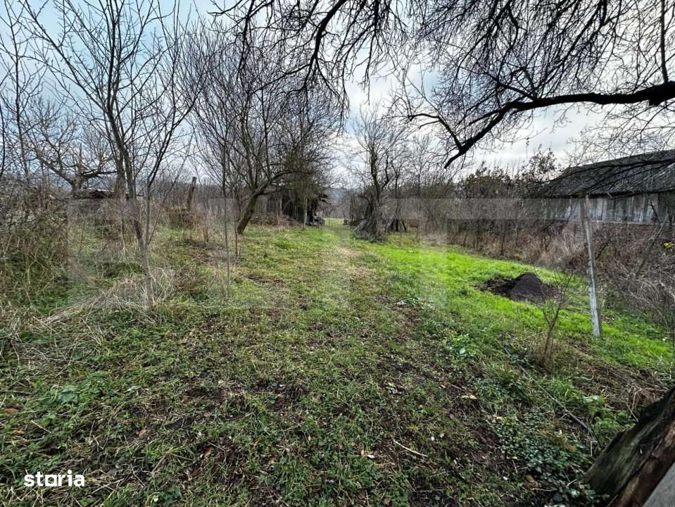 Casa 3 camere, zona Balanesti, teren 2792mp - Imagine principală: 5/5