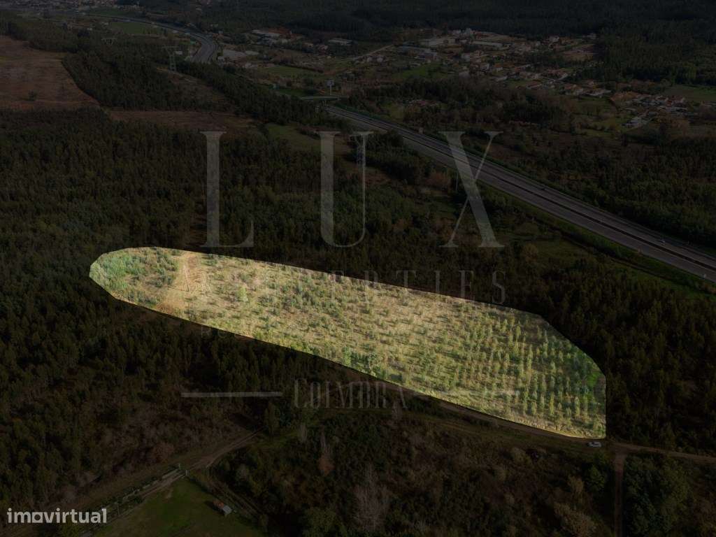 Terreno | Quinta do Acipreste, Antanhol - Grande imagem: 4/19