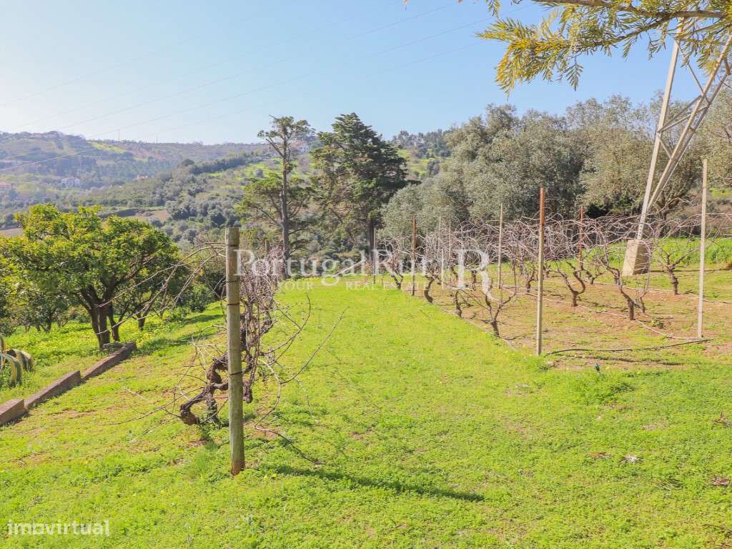 Quintinha com várias habitações em Vila Franca de Xira-45