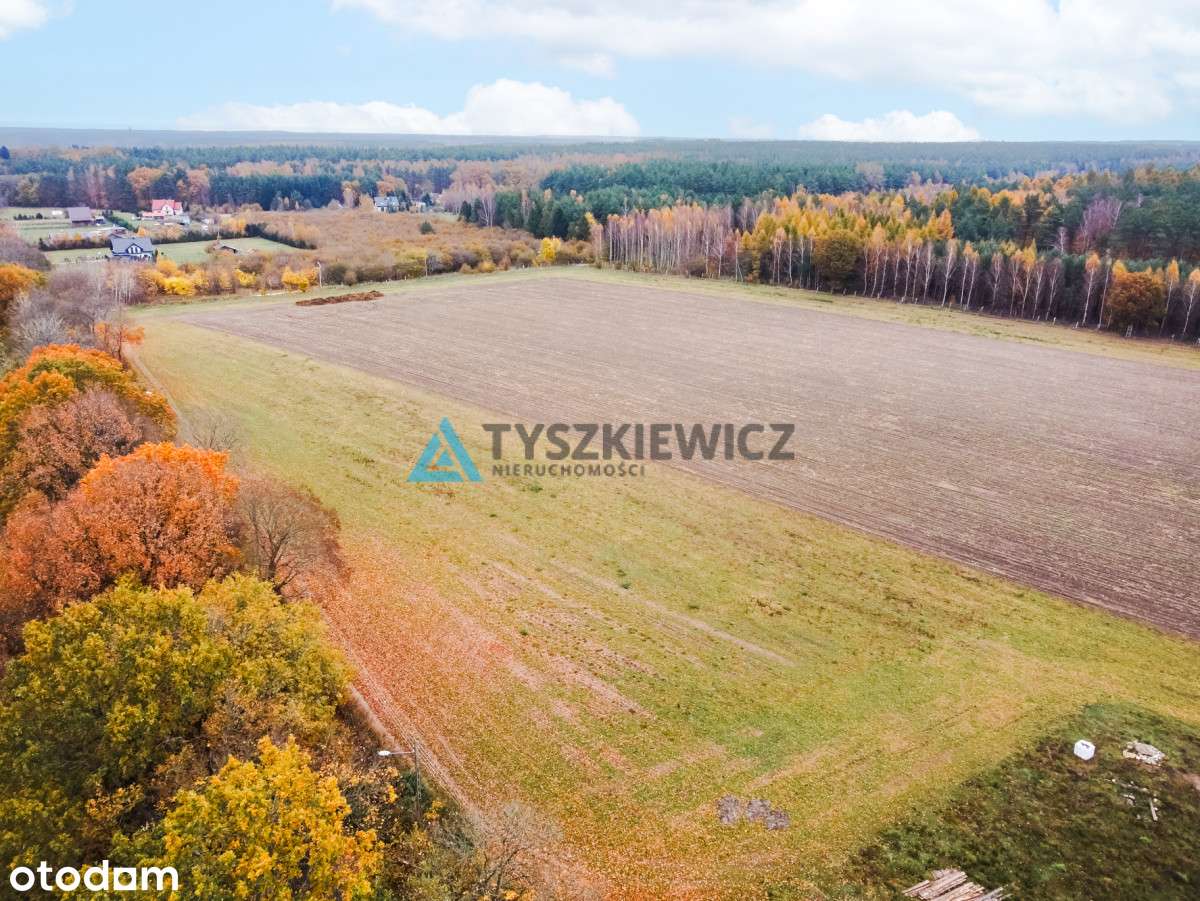 Działka Szczenurze - Pełny obrazek: 5/10