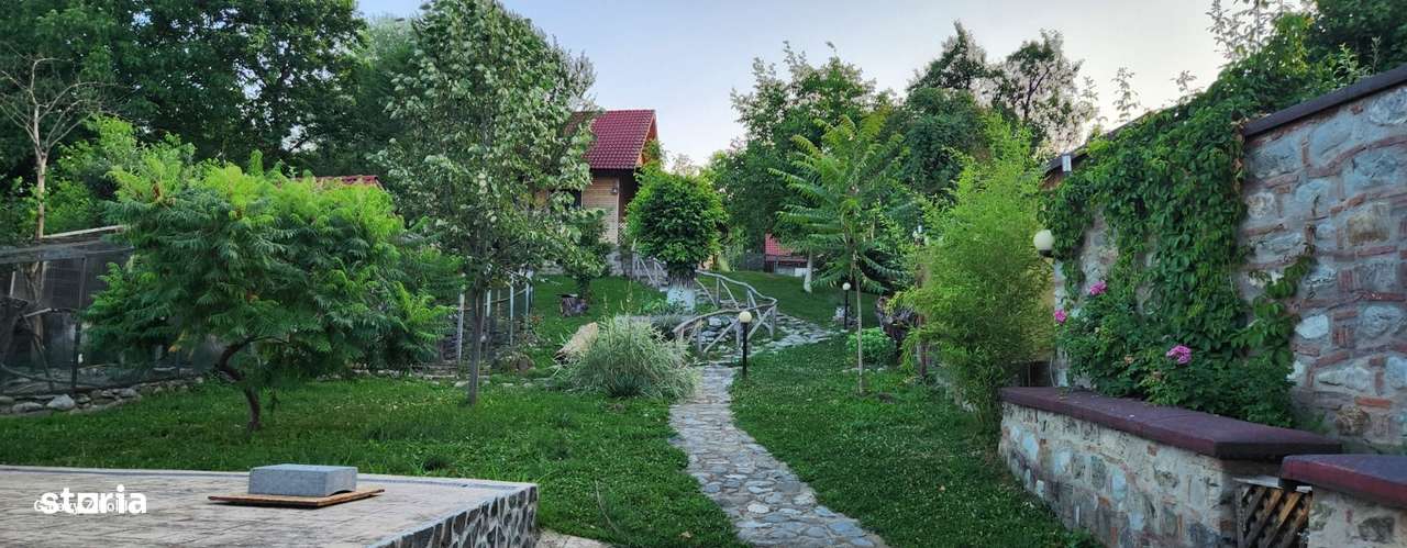 Vila Horezu Romanii de Jos-16