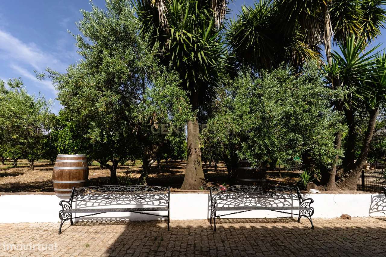 Quinta em  São Brás e São Lourenço-7