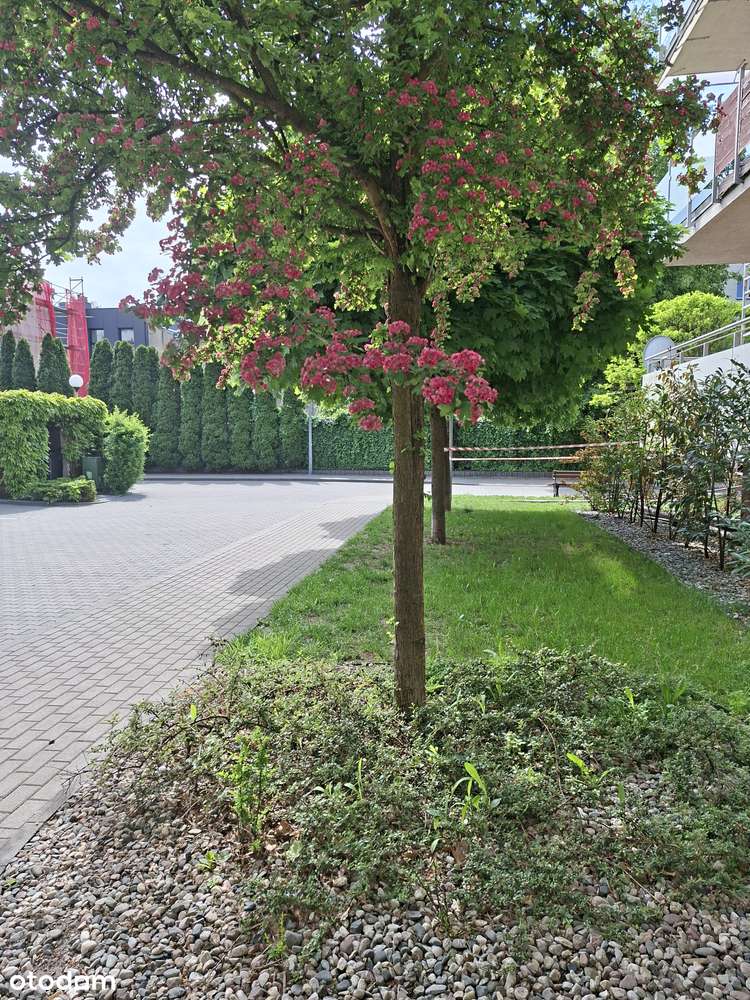 Apartament z tarasem i miejscem postojowym, w świetnej lokalizacji - Veduta 2