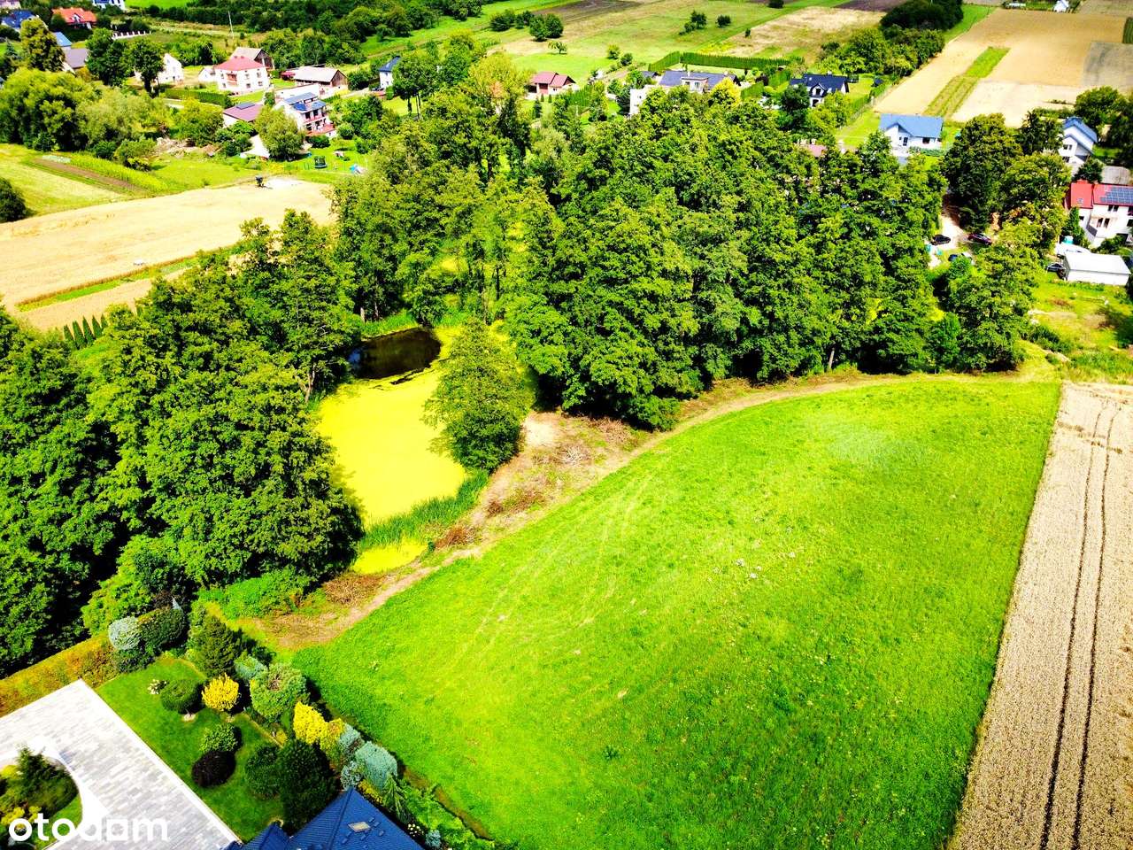 Wyjątkowa działka 81 ar | Przybysławice | staw, zieleń, media, MPZP - Pełny obrazek: 2/20