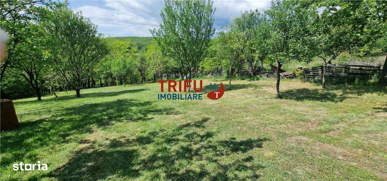 Teren de vanzare zona Schit - Imagine principală: 4/16