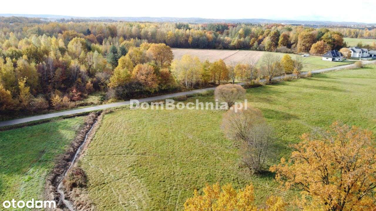 38ar budowlana przy drodze Borek Rzezawa-5