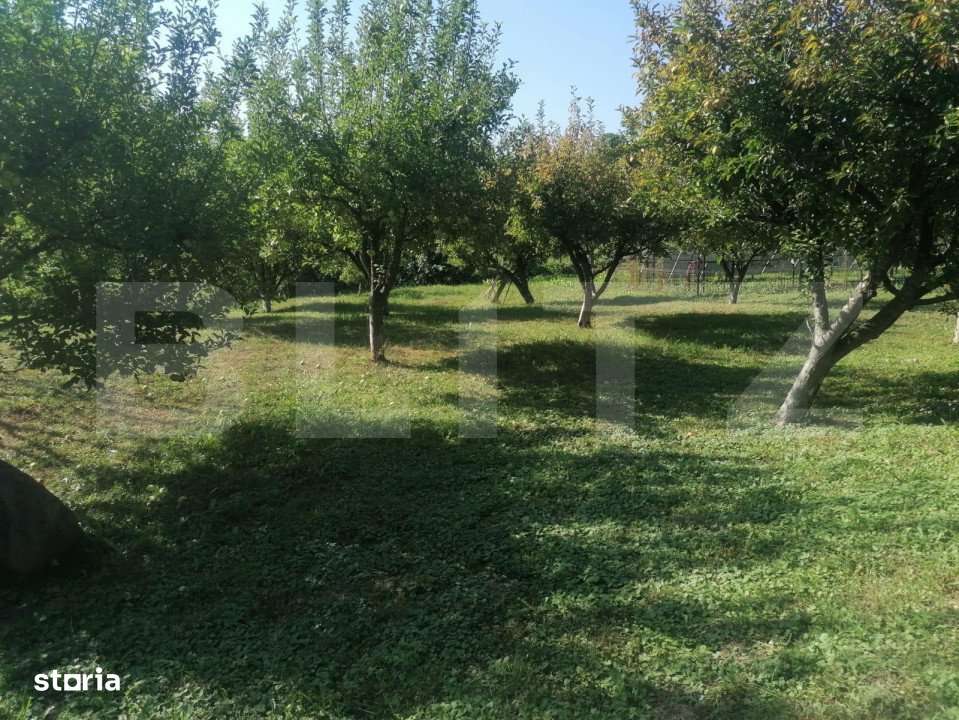 Casa cu arhitectura deosebita, iaz, panouri solare, 370mp, zona Adanca - Imagine principală: 4/8