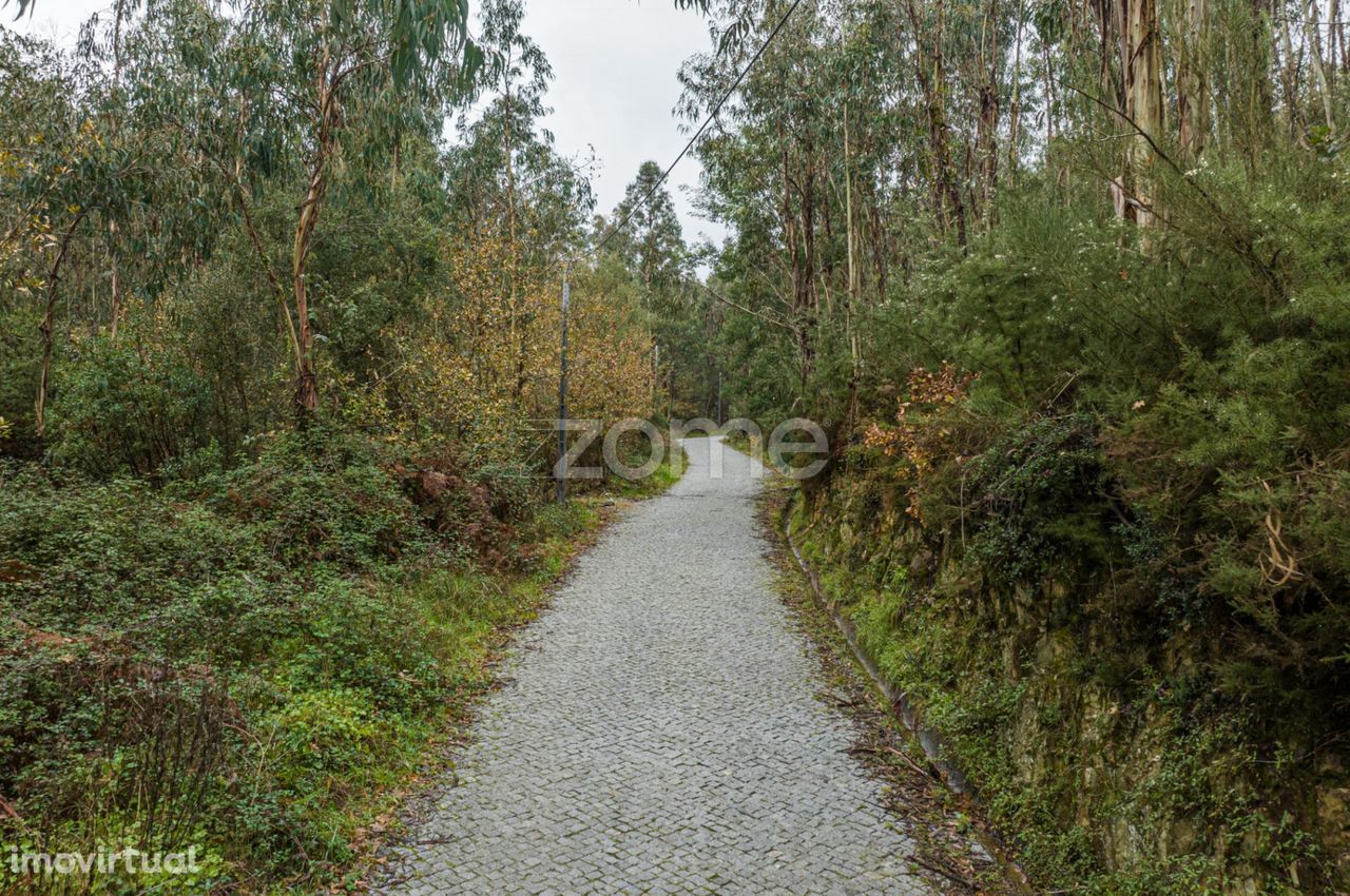 Terreno florestal urbanizável com 3.600 m2 - Rio Mau, Penafiel