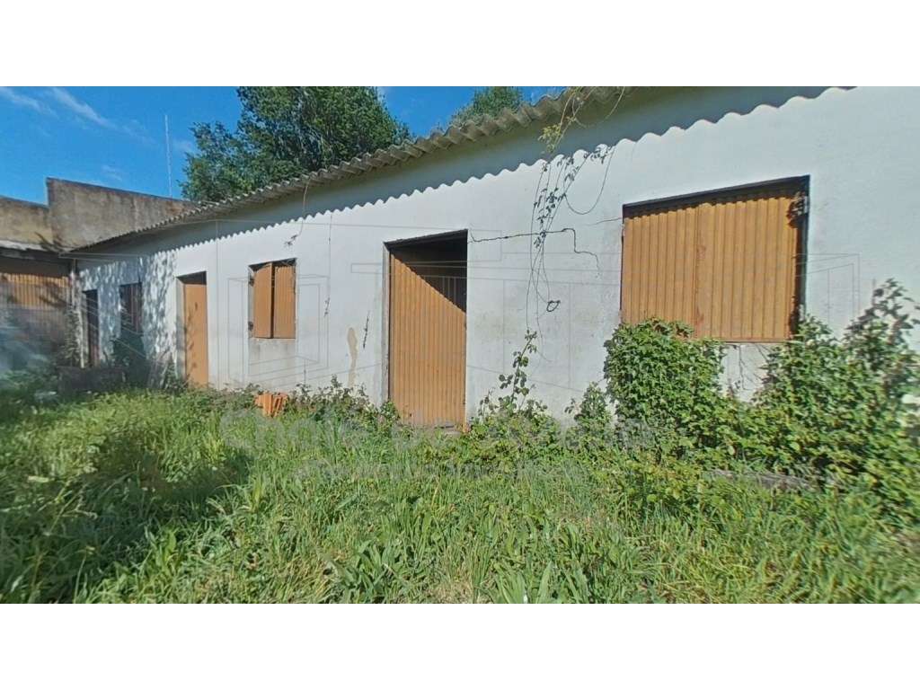 Quinta com 5.000 m2 e casa habitação T5 em Águeda-41