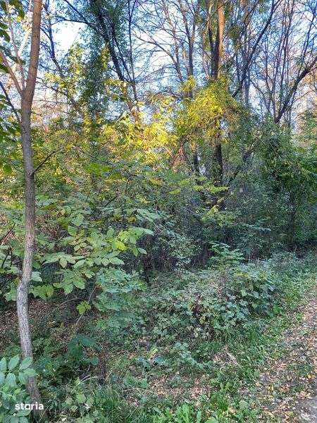 Teren de vanzare Nistoresti-Breaza 1081mp - Imagine principală: 5/5