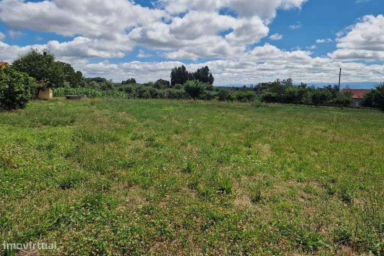 Terreno, Viseu, Tondela, Mouraz e Vila Nova da Rainha - Grande imagem: 2/4