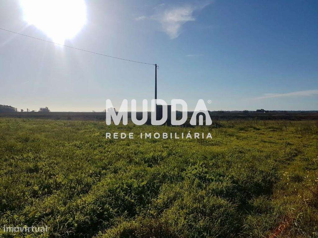 Quintinha T3 Duplex em Válega, Ovar. - Grande imagem: 5/9