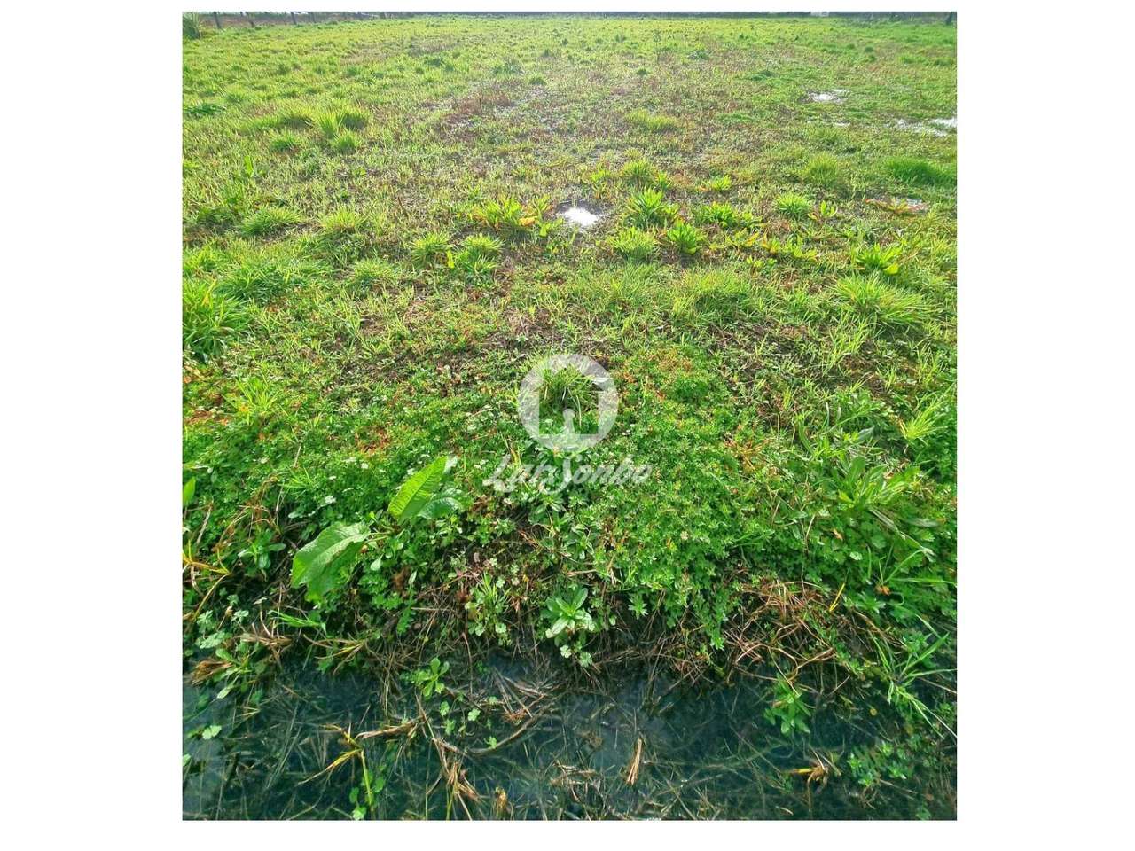 Terreno Urbano em Barcelos - Grande imagem: 4/15