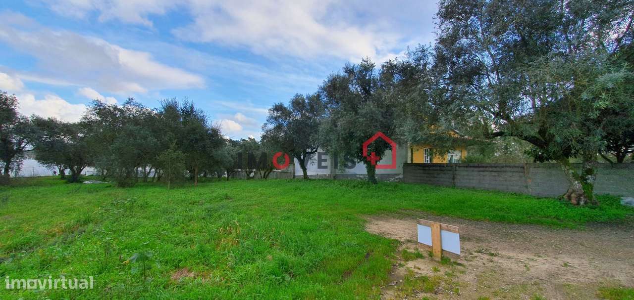 Terreno rústico com viabilidade de construção – Ortigosa - Grande imagem: 4/7