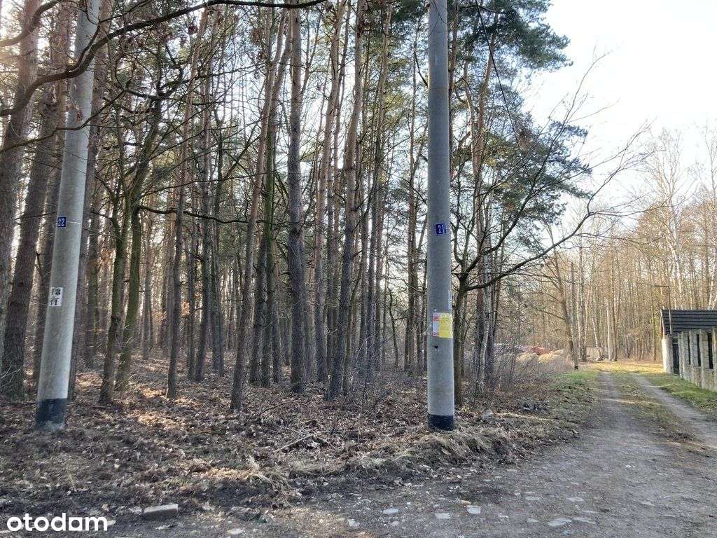 Pęclin, gm. Wiązowna, 3500 m2-4