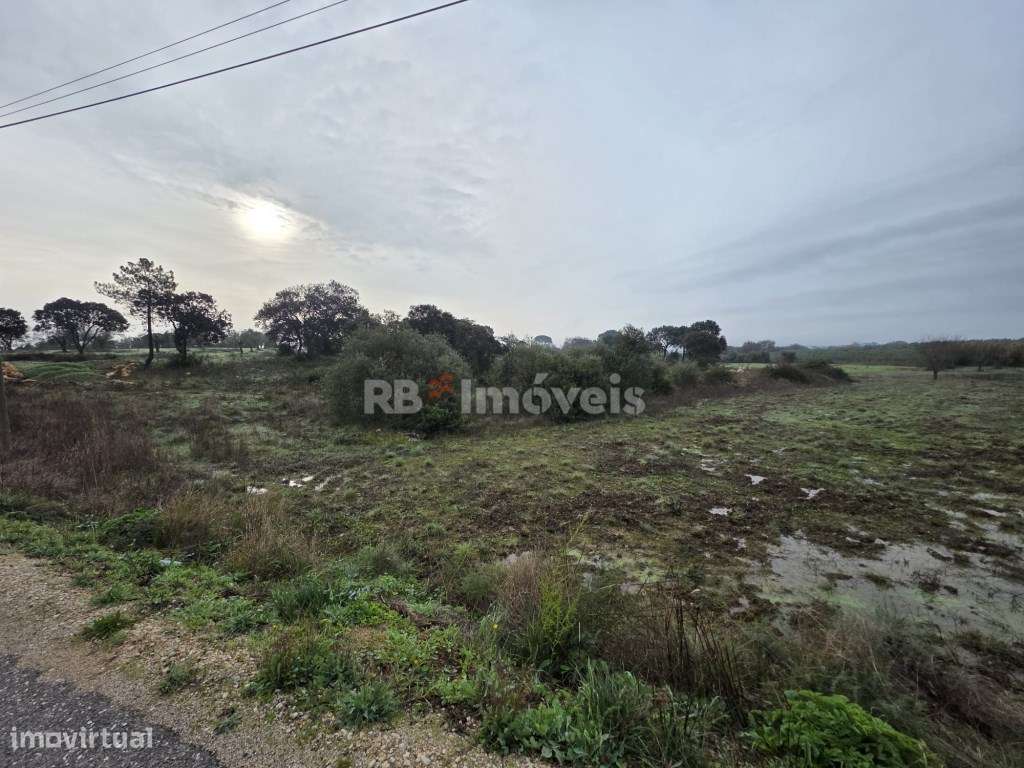 Terreno rústico com 4.080m2 - Soudos, Torres Novas - Grande imagem: 4/7