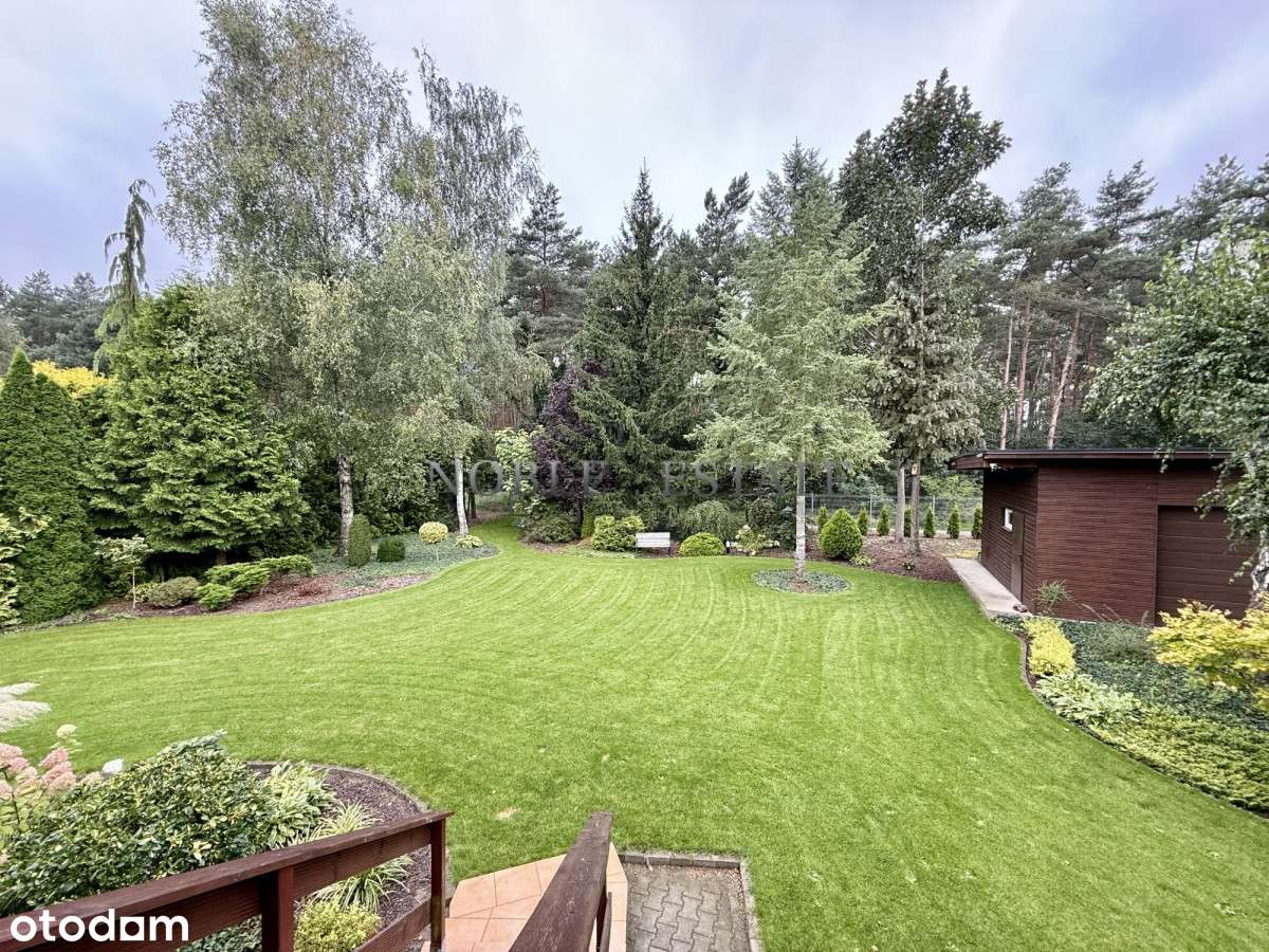 Cudowny ogród pod ścianą lasu-10