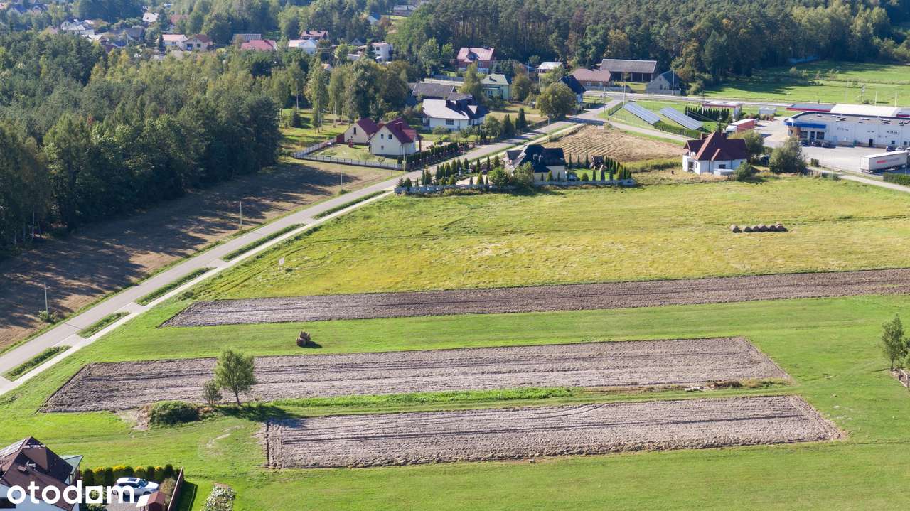 Działka 13,07ar Nowa Dęba-5