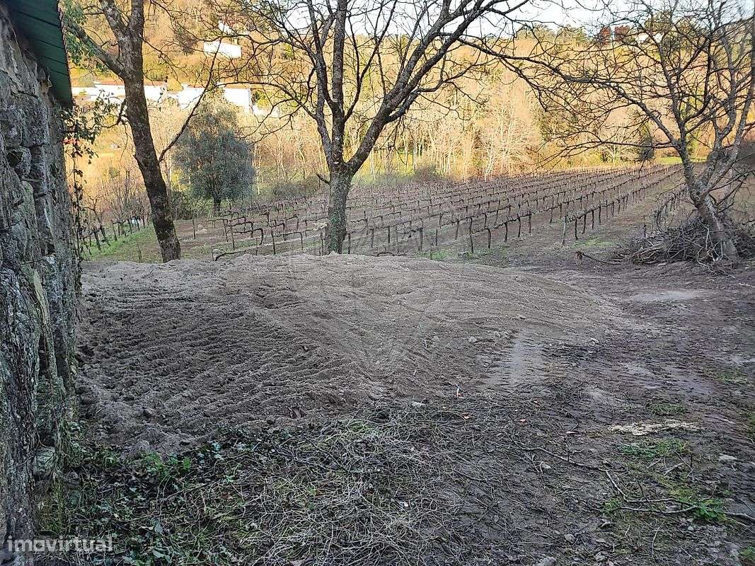 Quinta  para venda - Grande imagem: 5/7