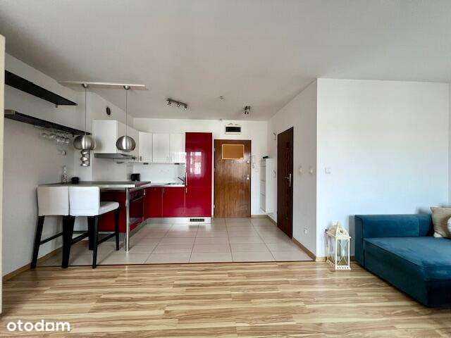 Kawalerka na start - Pełny obrazek: 2/5