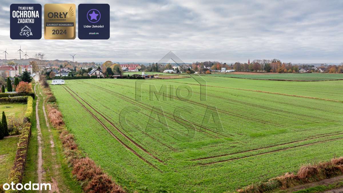 978316 - Pełny obrazek: 3/7