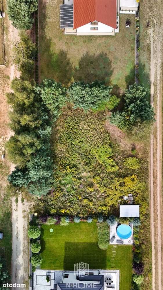 Pęciszów koło Trzebnicy/otoczenie lasów - Pełny obrazek: 5/6